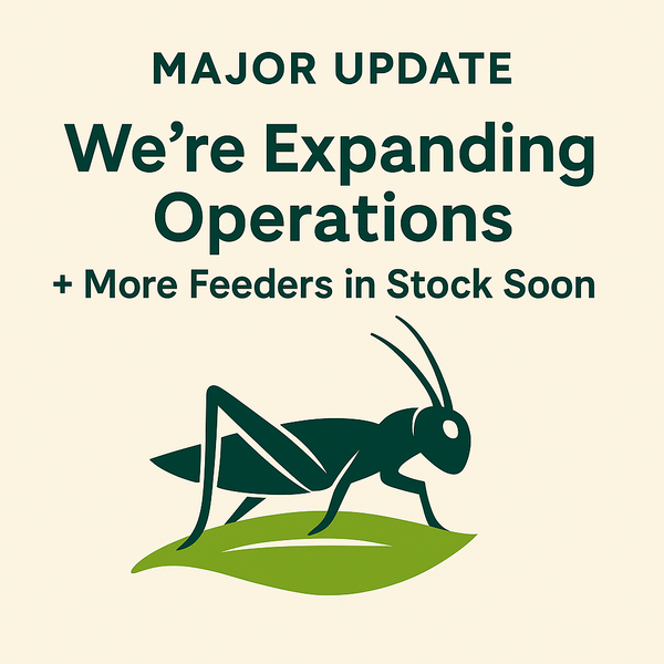 Tasty Critters Just Leveled Up: New Roaches, Better Shipping, More Control