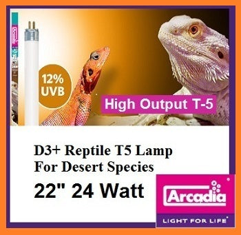 Arcadia T5 12% Desert UVB