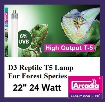 Arcadia T5 6% Forest UVB